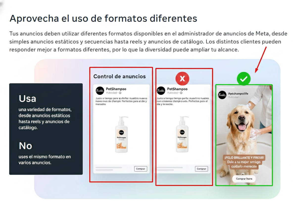 Asesoría facebook ads